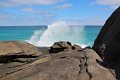 Walpole Banksia Bay (6)